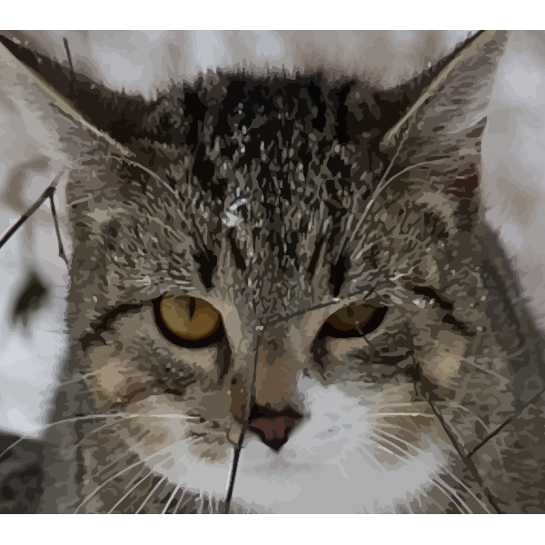 SVG Cat039s face vector illustration