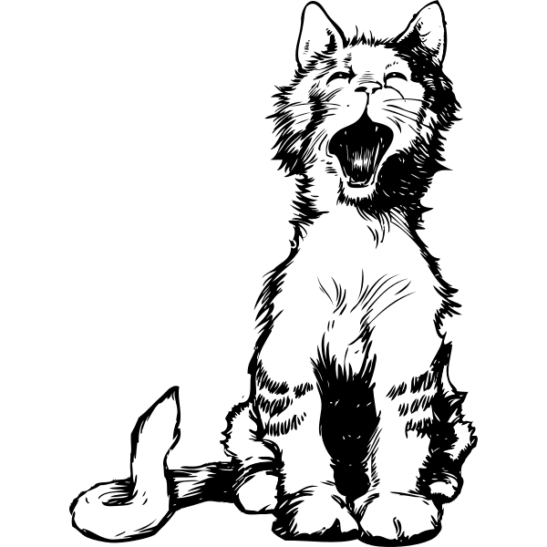 SVG cat039s meow