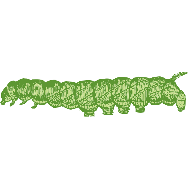 SVG caterpillar