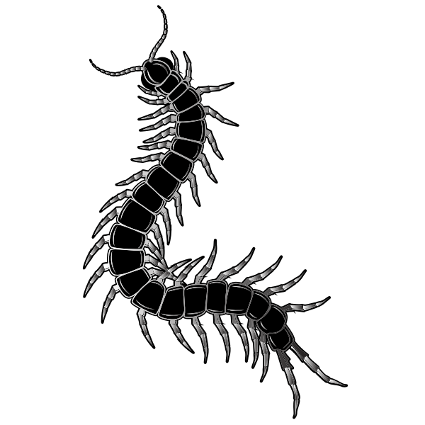 SVG Caterpillar silhouette clip art