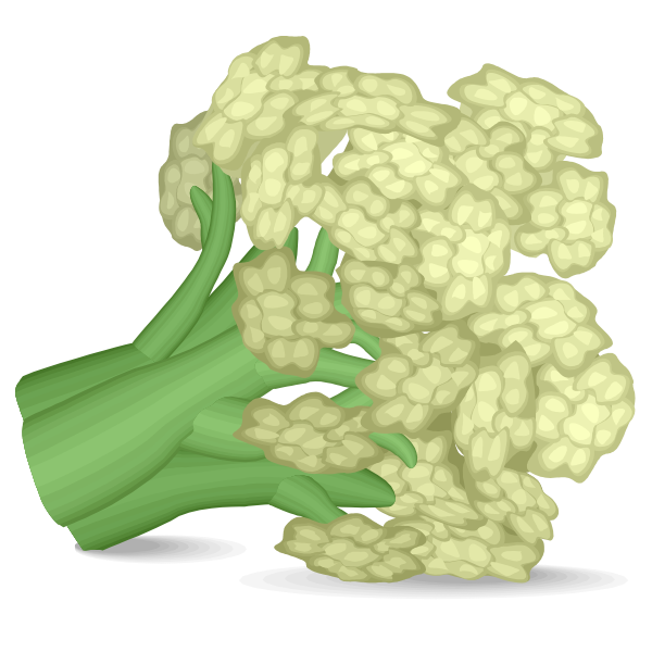SVG Cauliflower icon