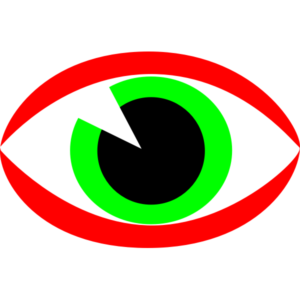 SVG CCTV surveillance eye sign vector image
