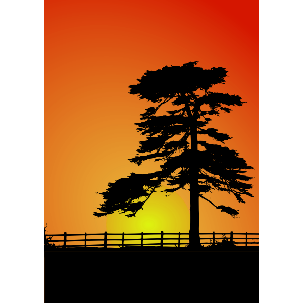 SVG Cedar trees silhouette vector image