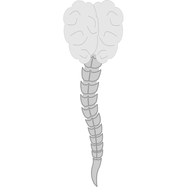 SVG cerebro