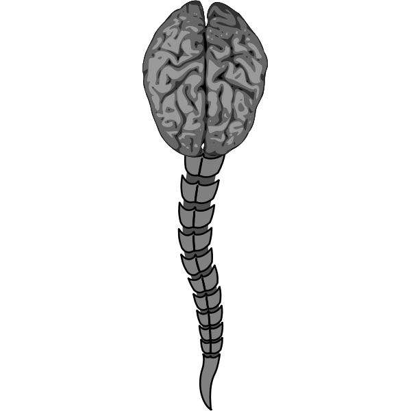SVG cerebro remix