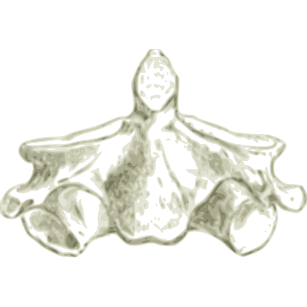 SVG Cervical spine