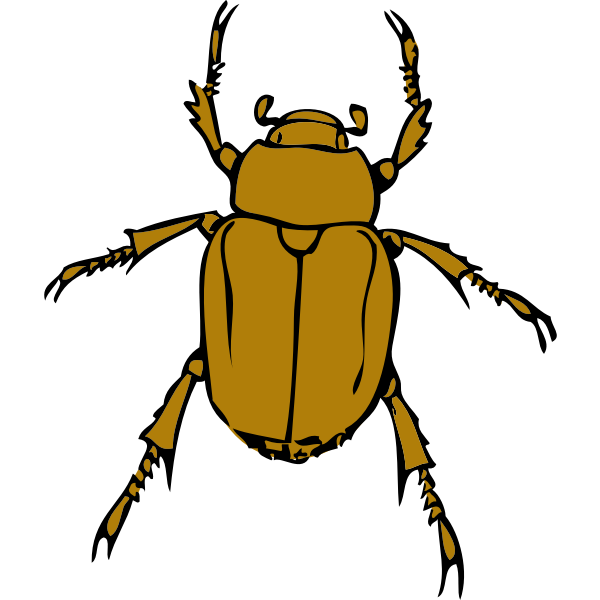 SVG chafer bug