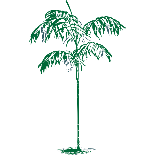 SVG Chamaedorea Sartorii