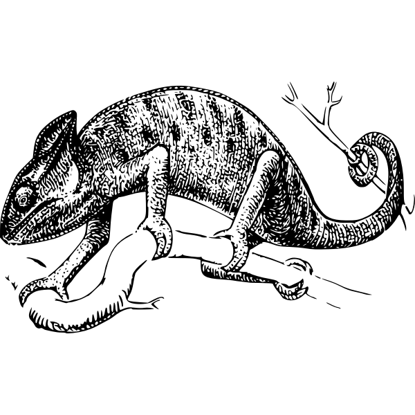 SVG chameleon