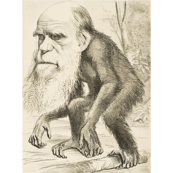 SVG Charles Darwin ape