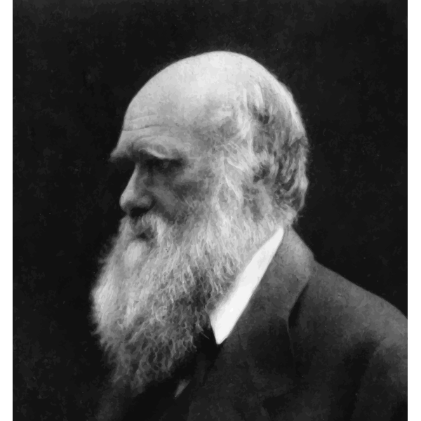 SVG Charles Darwin in black and white