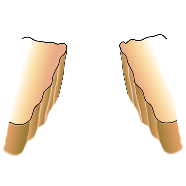 SVG Chasm