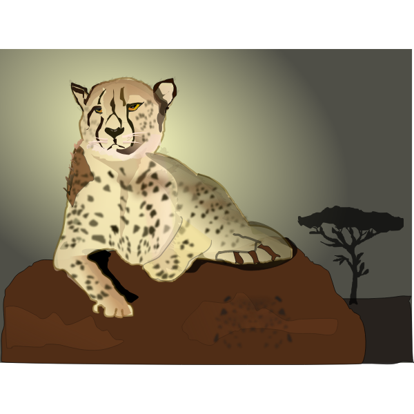 SVG Cheetah lying on rock vector image