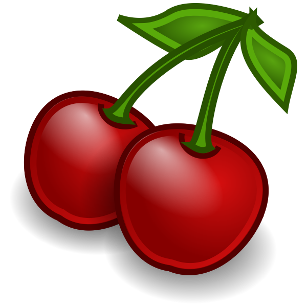 SVG Cherries vector illustration