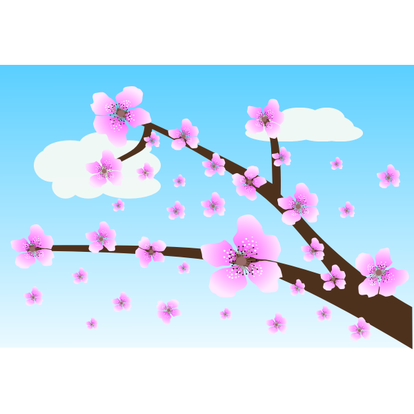 SVG Cherry blossom vector image