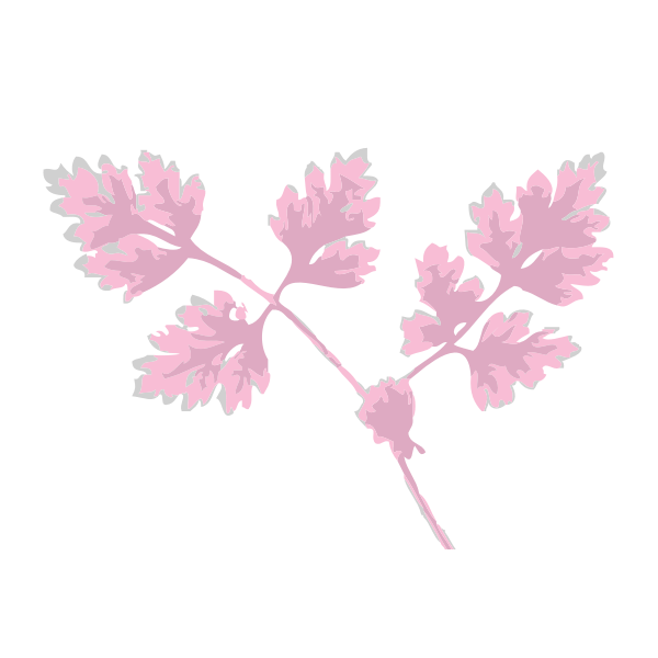 SVG Chervil