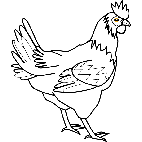 SVG Chicken line art davidone Chicken