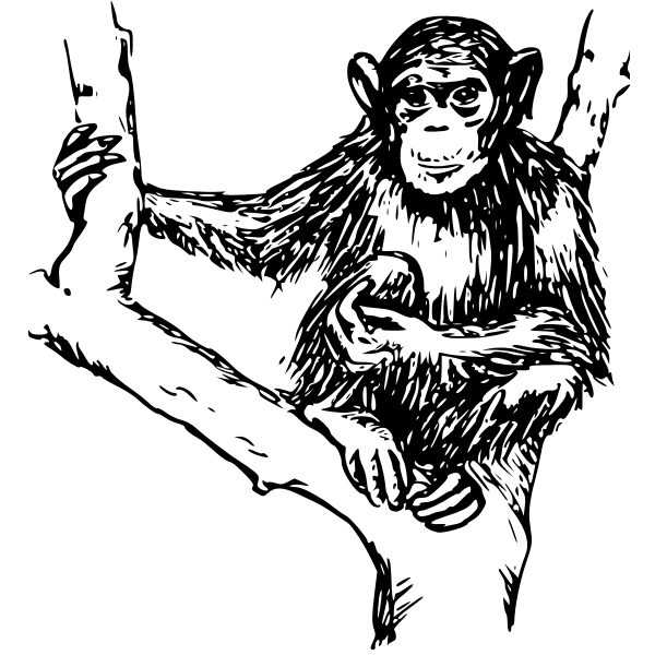 SVG chimpanzee