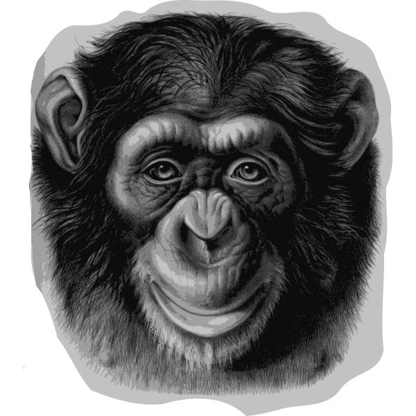 SVG Chimpanzee head
