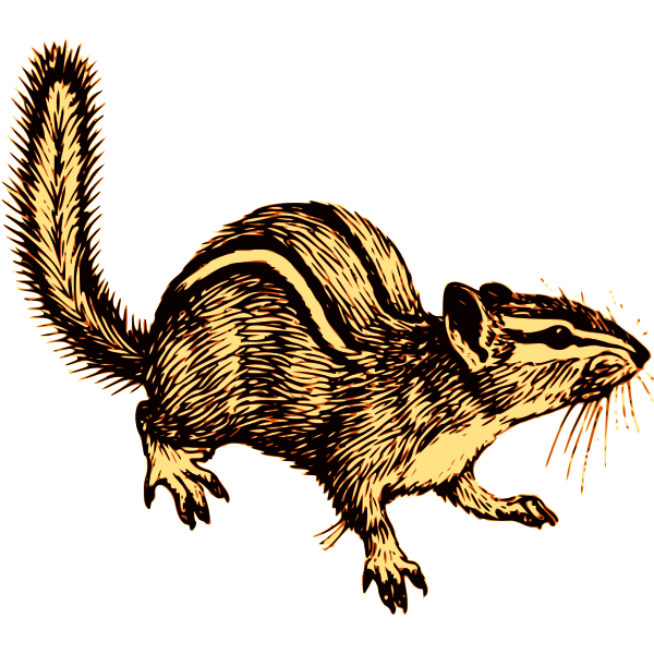 SVG Chipmunk-1573994321