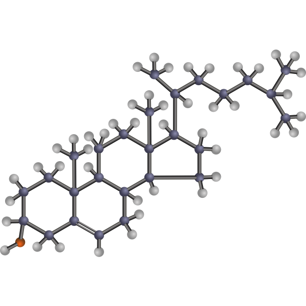 SVG Cholesterol