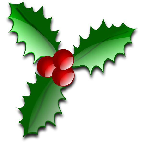 SVG Christmas flower decoration