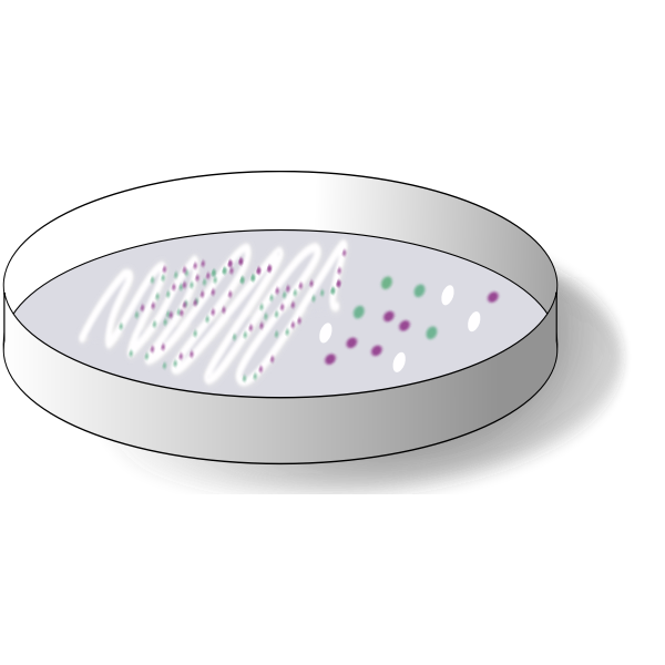 SVG Chromogenic media with collonies on plate vector clip art