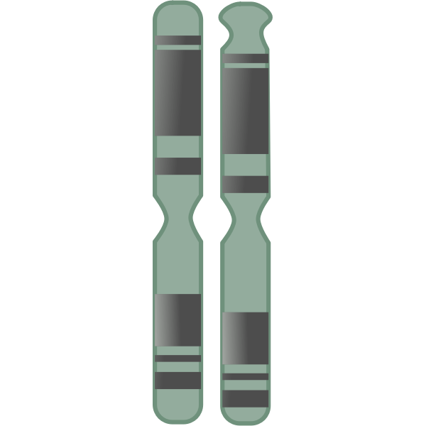 SVG Chromosome