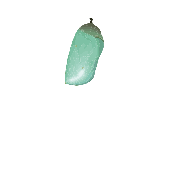 SVG Chrysalis D plexippus