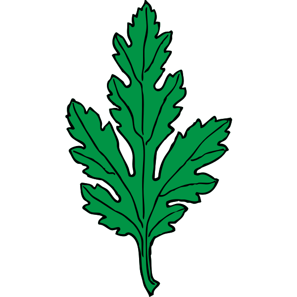 SVG chrysanthemum leaf