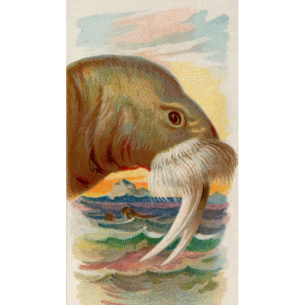 SVG Cigarette card image