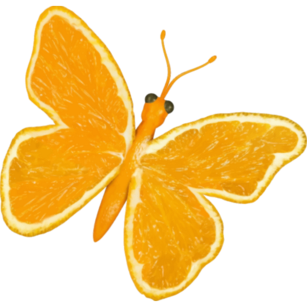 SVG Citrus butterfly