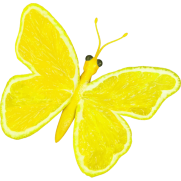 SVG Citrus fruit butterfly