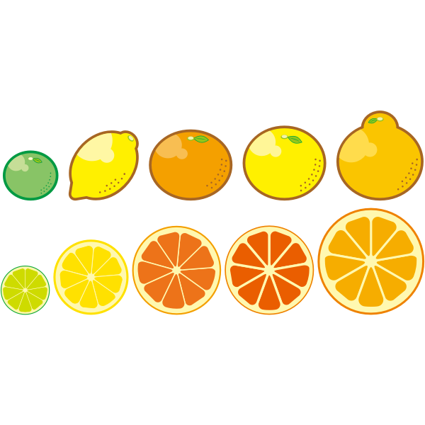 SVG Citrus Fruits