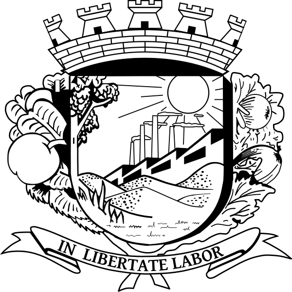 SVG City emblem