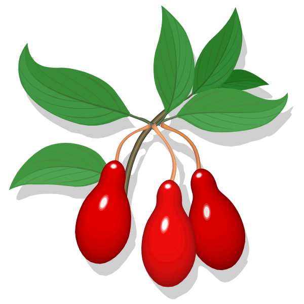 SVG Cling fruit