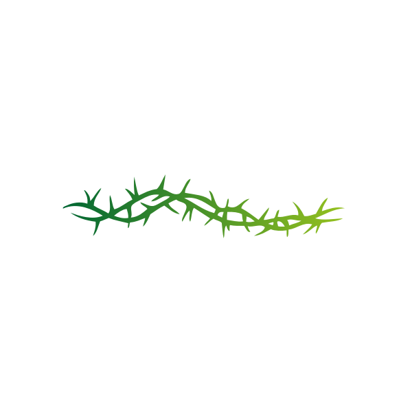 SVG Clip art of a branch with sharp thorns