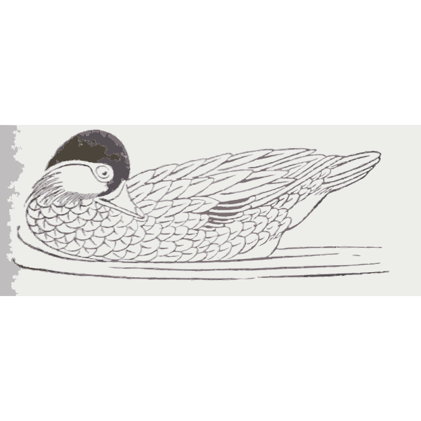 SVG Clip art of duck swimming and looking behind