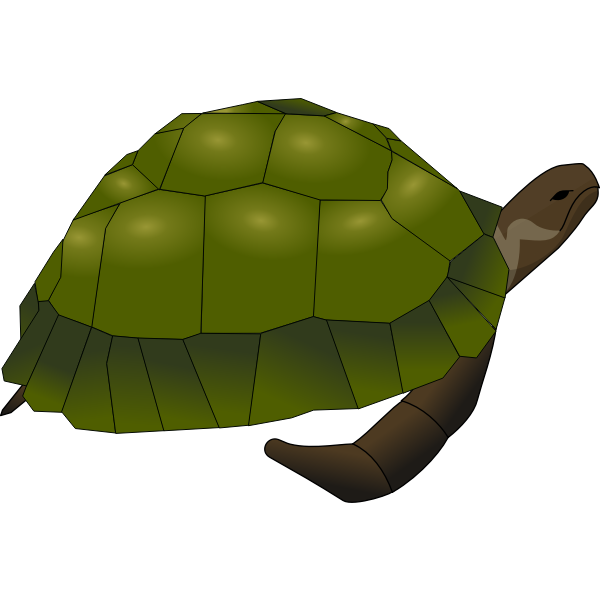 SVG Clip art of large old turtle in green and brown