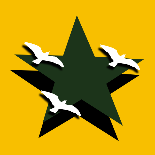 SVG Clip art of sea birds flying over a dark green star