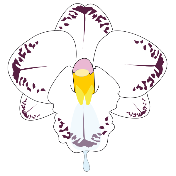 SVG Clip art of wild orchid flower in color