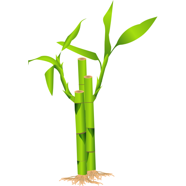 SVG Closeup of bamboo stalk vector illustration