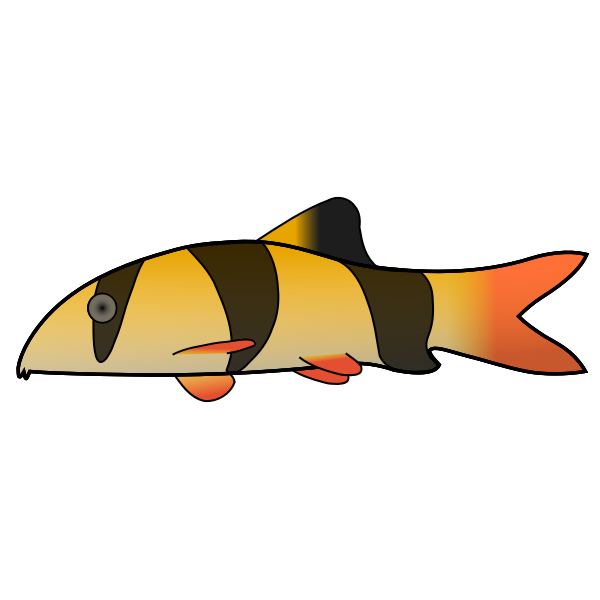 SVG Clown Loach