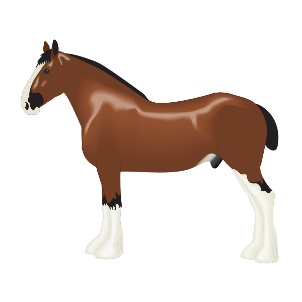 SVG Clydesdale horse