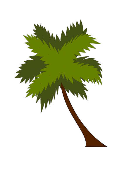 SVG coco tree