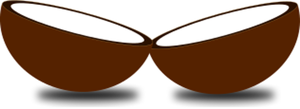 SVG Coconut