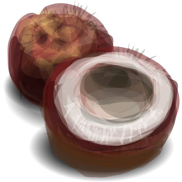 SVG Coconut-1573827334