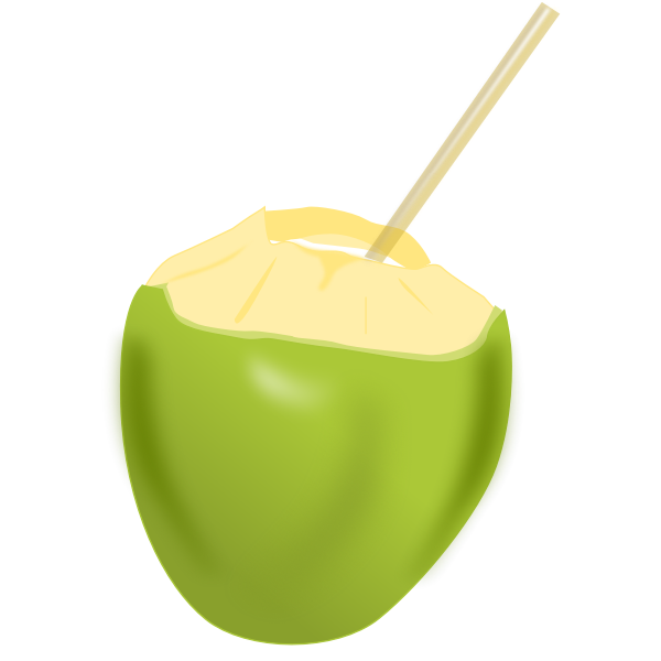 SVG Coconut with a straw vector clip art