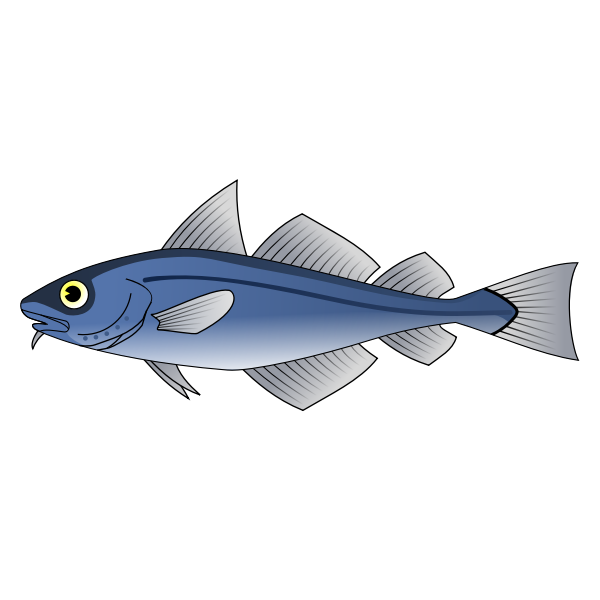 SVG Codfish vector illustration