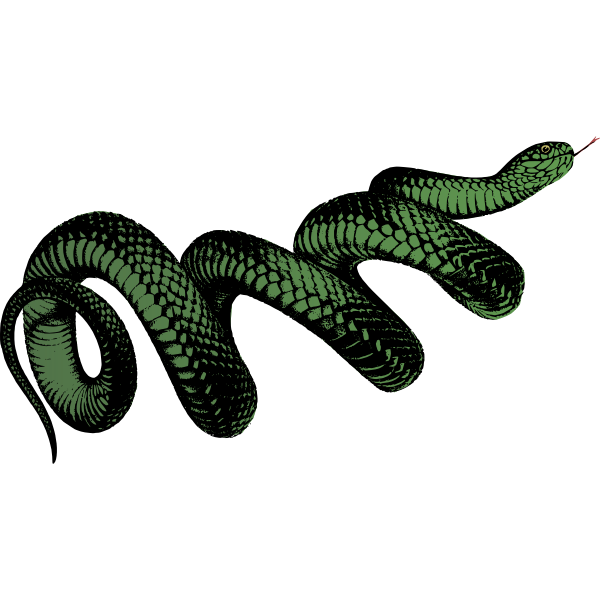 SVG Coiled green snake